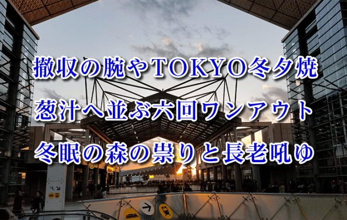 安溶二の2020年発表俳句集