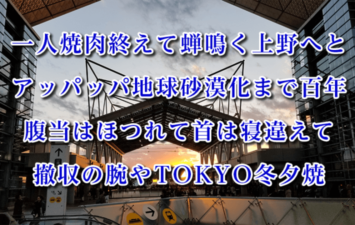 安溶二の2020年発表俳句集