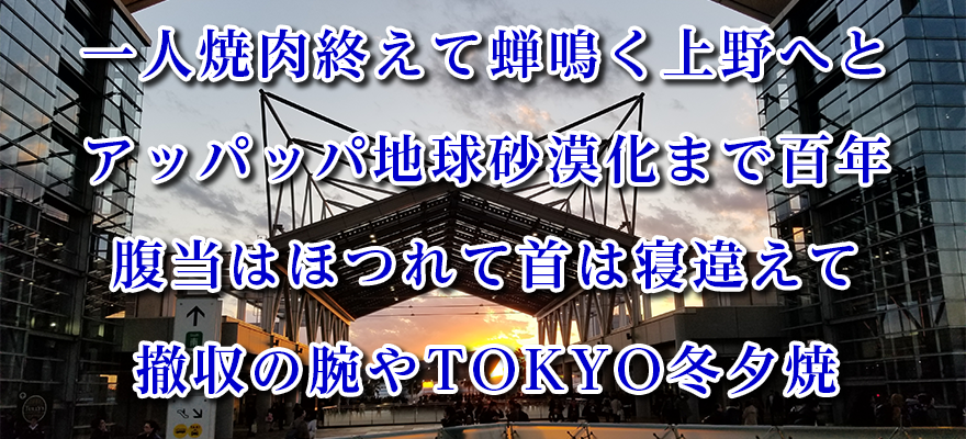 安溶二の2020年発表俳句集