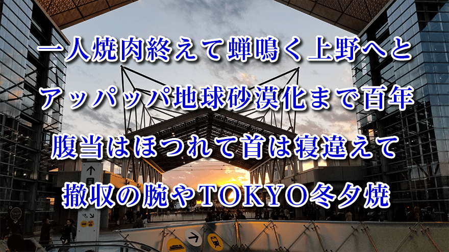 安溶二の2020年発表俳句集