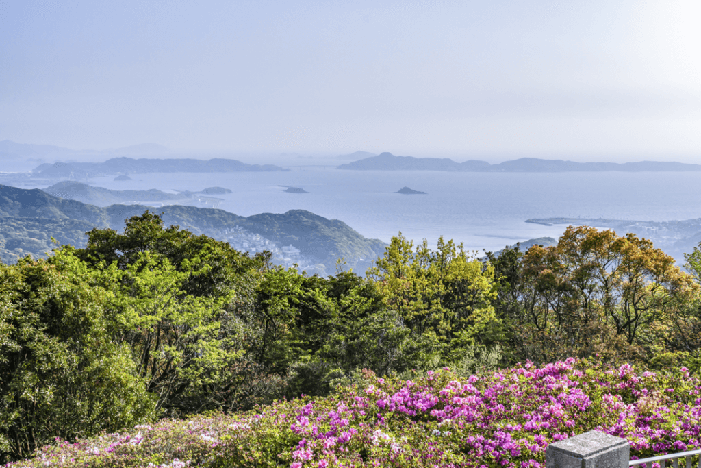 島々のツツジ